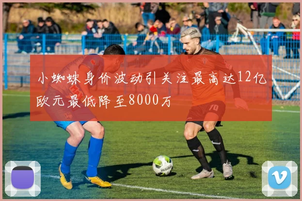 小蜘蛛身价波动引关注最高达12亿欧元最低降至8000万
